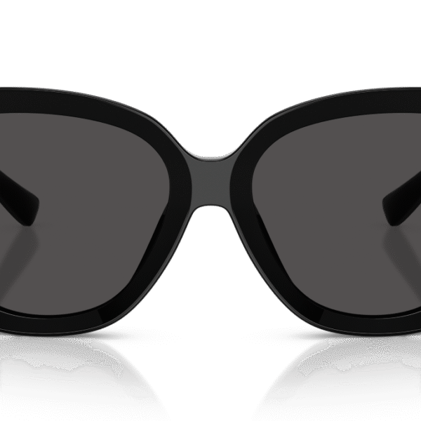 Dolce & Gabbana DG4495 501/8756